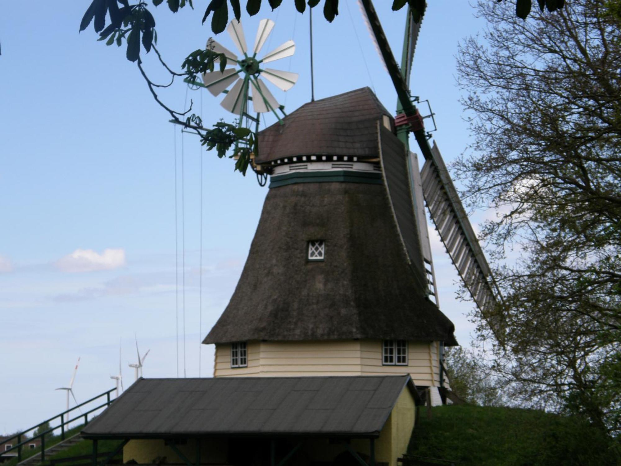 Landhotel Rehedyk Sankt Michaelisdonn Экстерьер фото